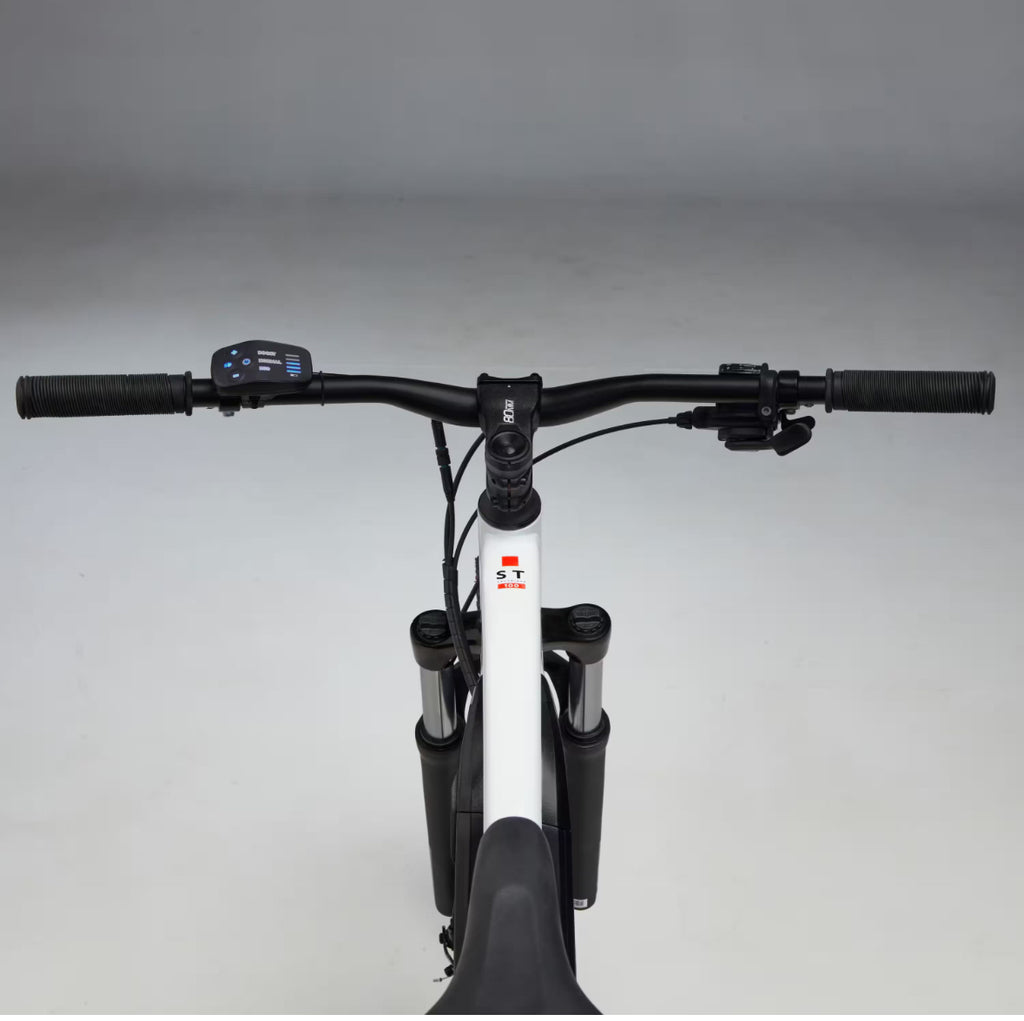 Men’s Mountain Bike electric pedal assist.
