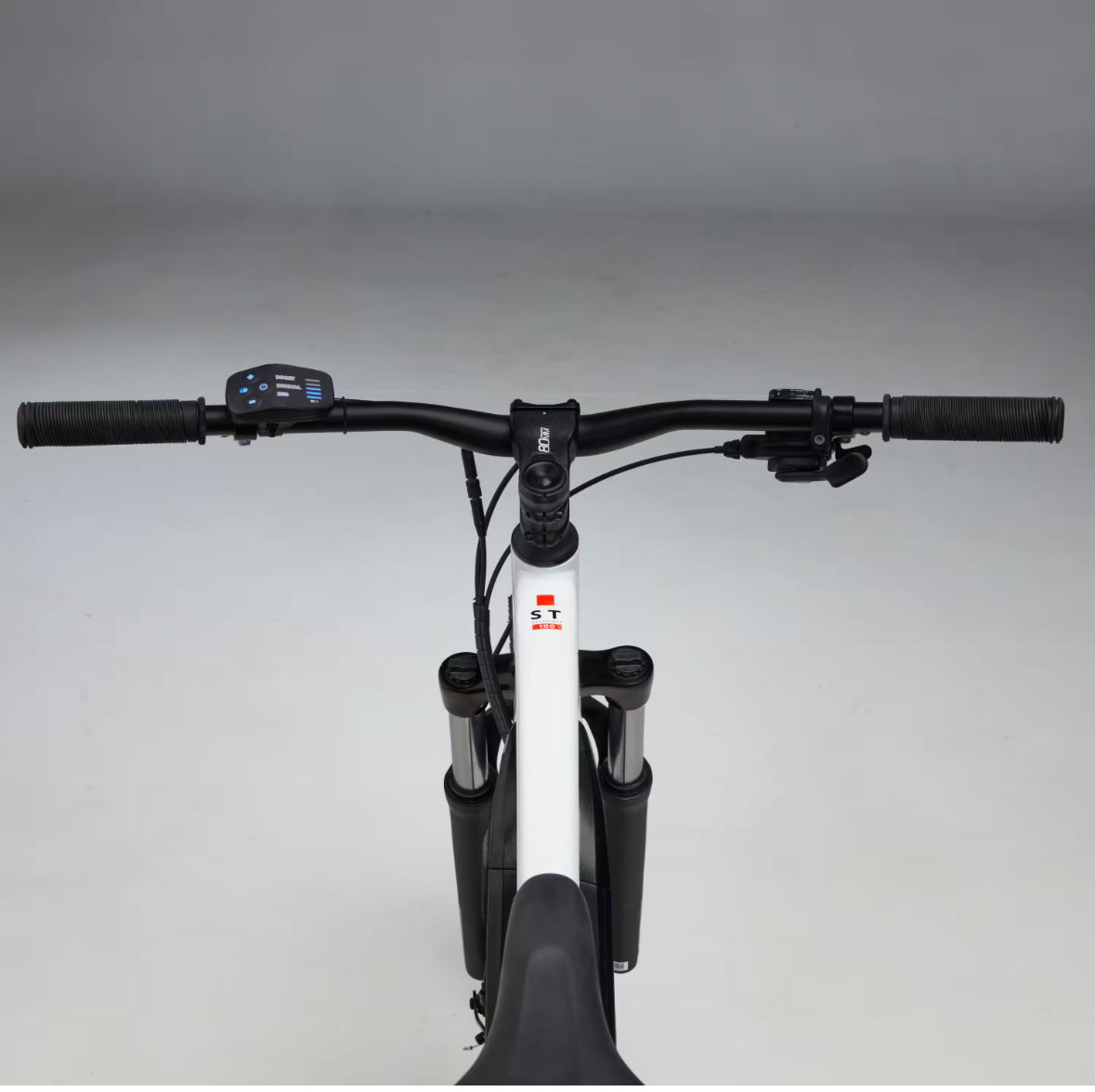Men’s Mountain Bike electric pedal assist.